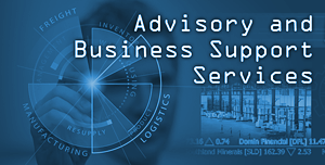 Advisory and Business Support Services